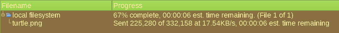 gFTP file transfer  progress