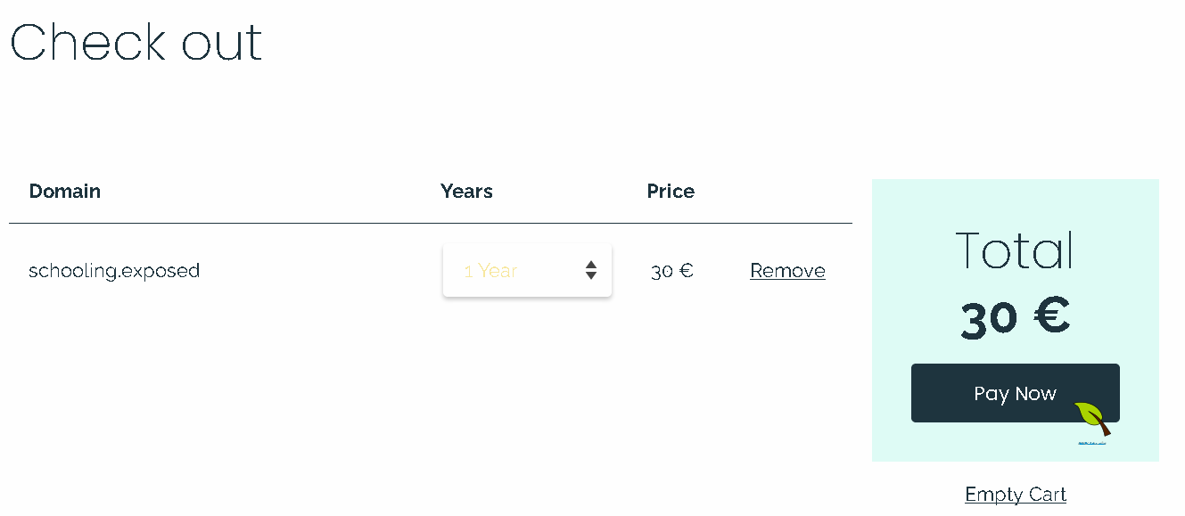 Showing the screen where you finalize buying the domain, with cursor hovered over 'Pay Now' button